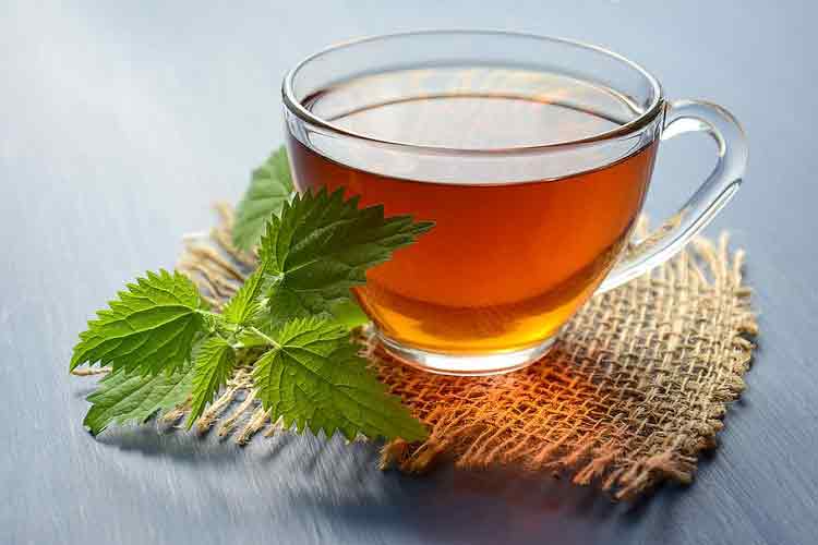 tea-herbal-tea-nettle-drink-hot-herbal