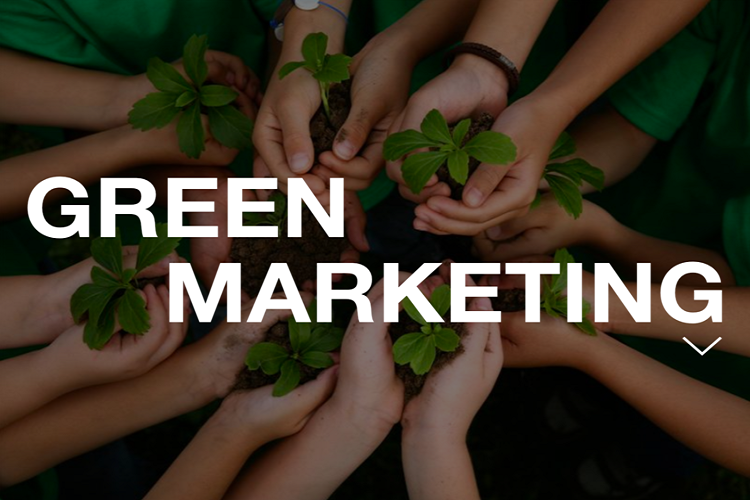 بازاریابی سبز چیست؟