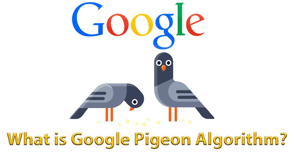 الگوریتم کبوتر گوگل چگونه کار می کند؟