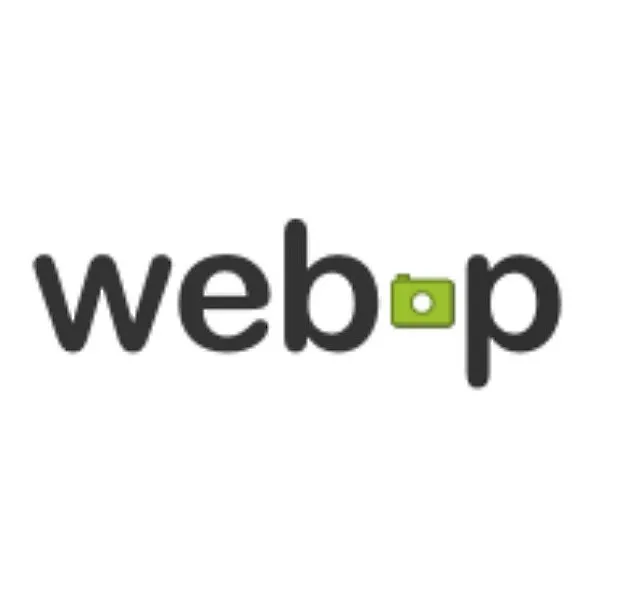 فرمت Webp چیست؟ چگونه تصاویر را به فرمت Webp کنیم؟