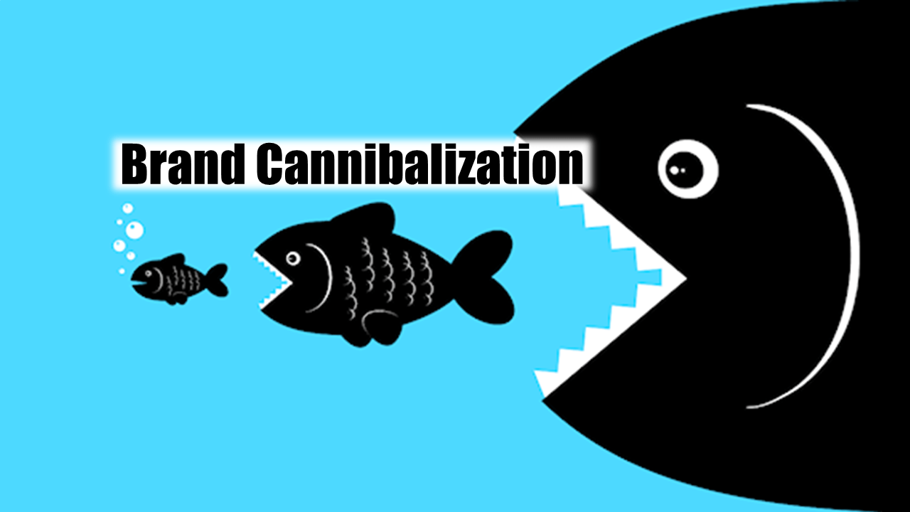 کنیبالیزیشن یا Cannibalize در سئو چیست