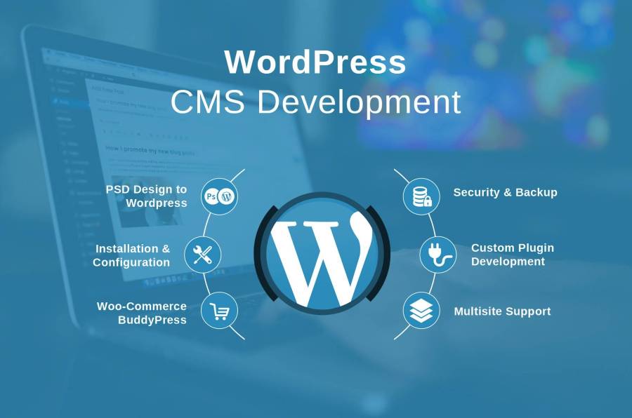 سیستم مدیریت محتوای وردپرس چیست؟ CMS WordPress