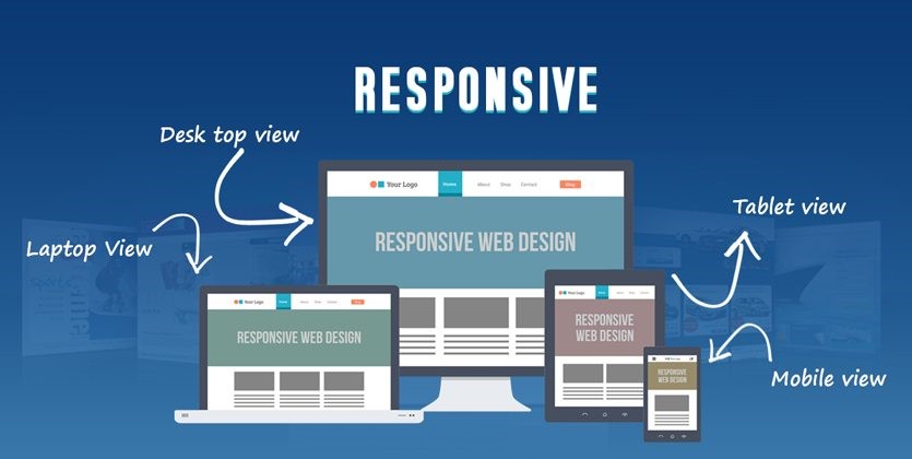 دسته بندی محصول